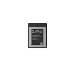 SanDisk Professional - Scheda di memoria flash - 256 GB - CFexpress Tipo B - nero