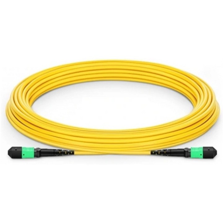 NVIDIApassfbrcbl SMF MPO12 APC MPO12 10m