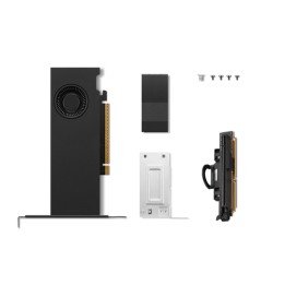 NVIDIA - Scheda grafica - RTX PRO 2000 Blackwell - 16 GB GDDR7 - PCIe 5.0 x8 - 4 x Mini DisplayPort - confezione brown box - pe