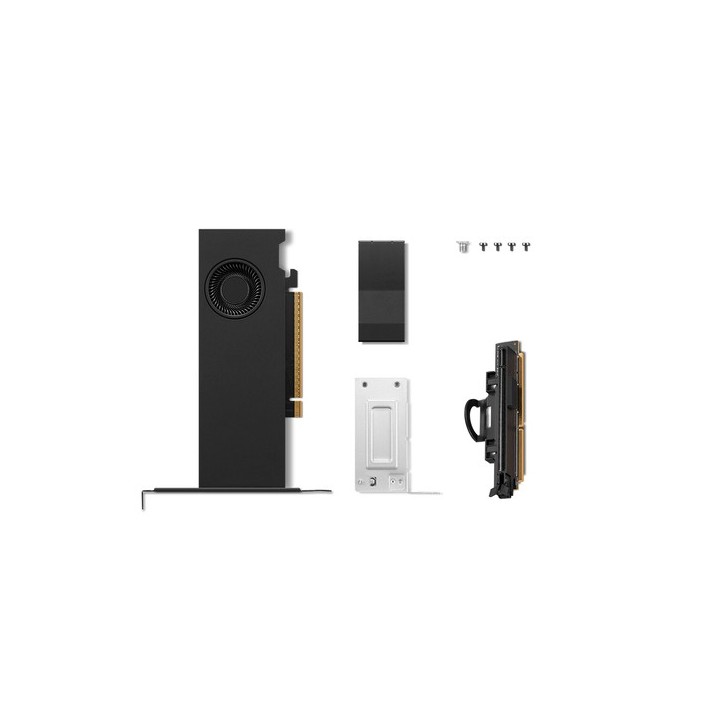 NVIDIA - Scheda grafica - RTX PRO 2000 Blackwell - 16 GB GDDR7 - PCIe 5.0 x8 - 4 x Mini DisplayPort - confezione brown box - pe