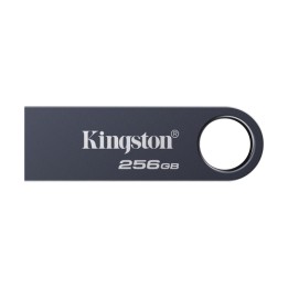 Kingston DataTraveler SE9 G3 - Chiavetta USB - 256 GB - USB 3.2 Gen 1 - nickel scuro