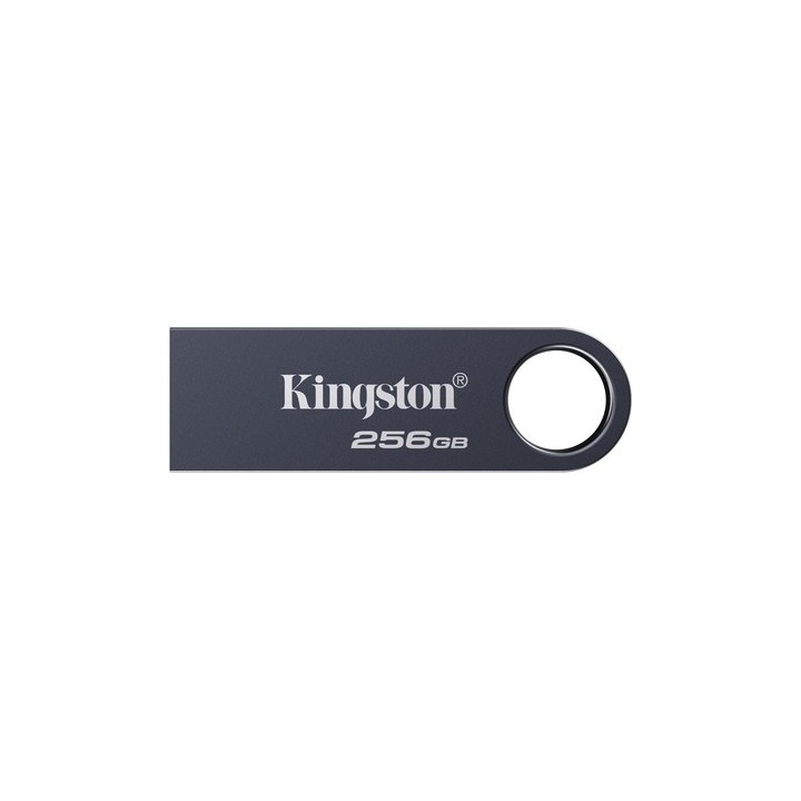 Kingston DataTraveler SE9 G3 - Chiavetta USB - 256 GB - USB 3.2 Gen 1 - nickel scuro