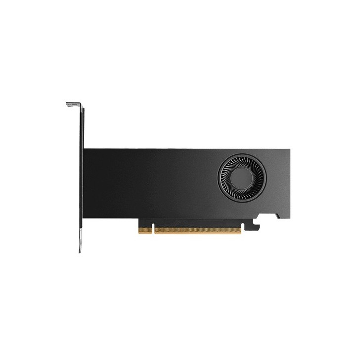 NVIDIA - Workstation Edition - scheda grafica - RTX PRO 2000 Blackwell - 16 GB GDDR7 - PCIe 5.0 x8 - 4 x Mini DisplayPort - DELL