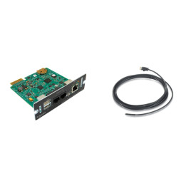 APC Network Management Card 3 with PowerChute Network Shutdown & Environmental Monitoring - Scheda controllo remoto - 1GbE - 10