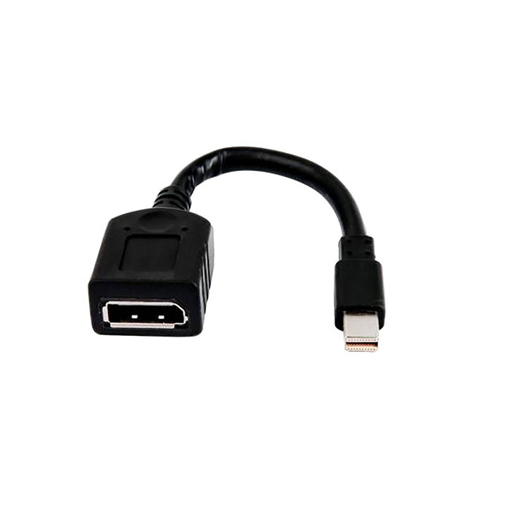 HP - Adattatore DisplayPort - Mini DisplayPort (M) a DisplayPort