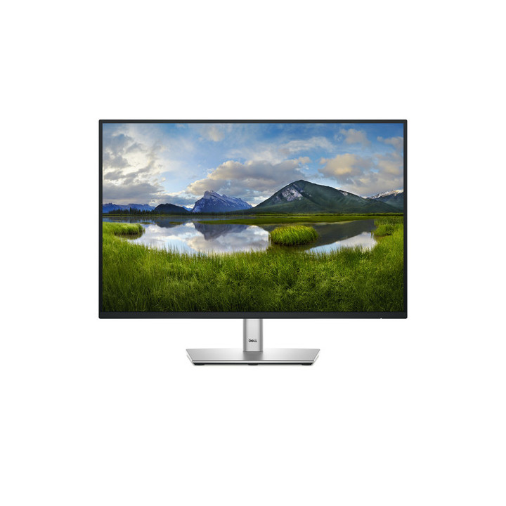Dell P2425E - Monitor a LED - 24" - 1920 x 1200 WUXGA @ 100 Hz