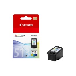 Cartuccia ink Colore CL-513