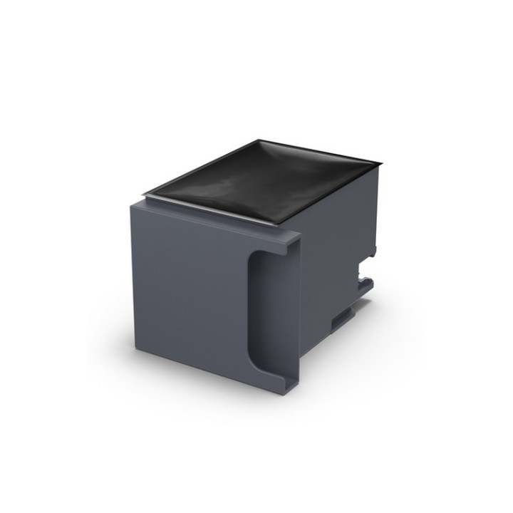 Epson - Confezione manutenzione inchiostro - per WorkForce Pro RIPS WF-C879, WF-