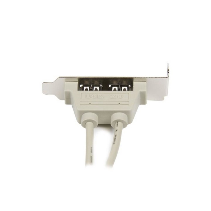 StarTech.com Adattatore piastra slot basso profilo 2 porte USB A femmina - Panne (USBPLATELP)