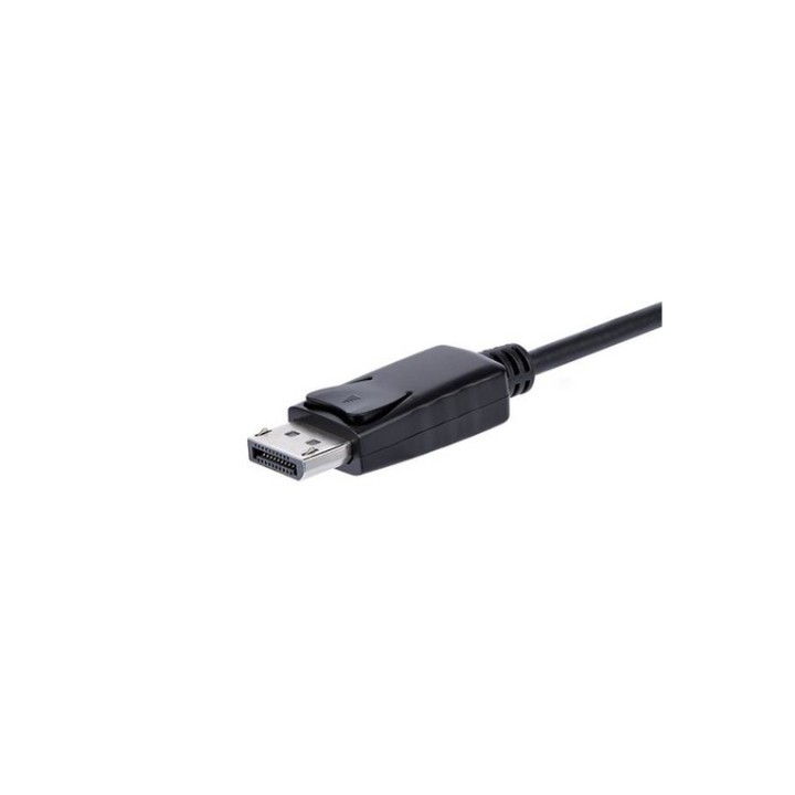 StarTech Adattatore DisplayPort a VGA-Convertitore DP a VGA con audio - Adattato (DP2VGAA)
