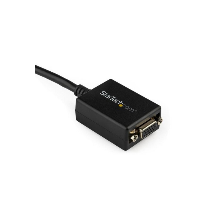 StarTech Adattatore DisplayPort VGA - Convertitore attivo da DP a VGA - Video 10 (DP2VGA2)