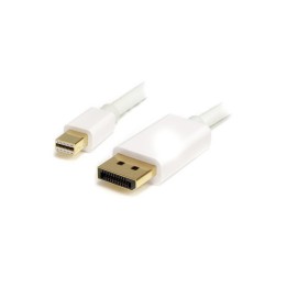 StarTech.com Cavo Mini DisplayPort a DisplayPort 1.2 da 2m - Cavo Adattatore 4K