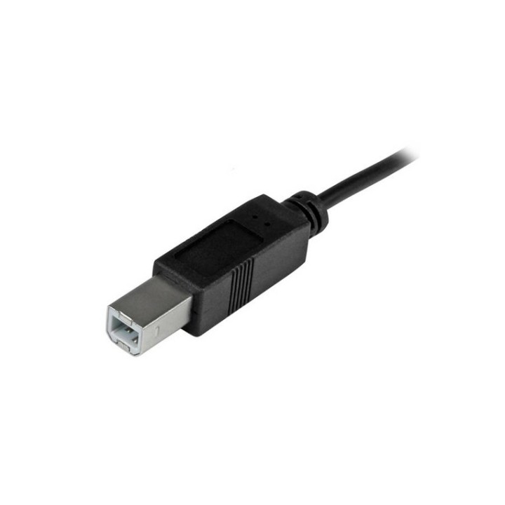 StarTech Cavo USB-C a USB-B da 2m - M/M - Cavo Stampante USB 2.0 Tipo C a USB-B (USB2CB2M)