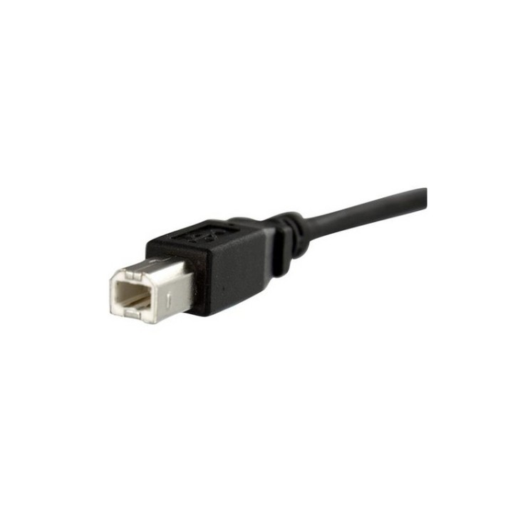 StarTech.com Cavo USB per montaggio a pannello 30cm nero - USB Type B (F) a USB