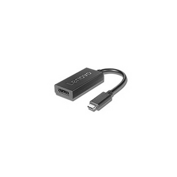 Lenovo - Adattatore USB/DisplayPort - USB-C (M) a DisplayPort (F) - DisplayPort