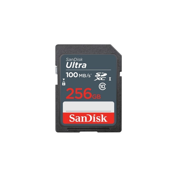 SanDisk Ultra - Scheda di memoria flash - 256 GB - UHS Class 1 / Class10 - UHS-I (SDSDUNR-256G-GN3IN)