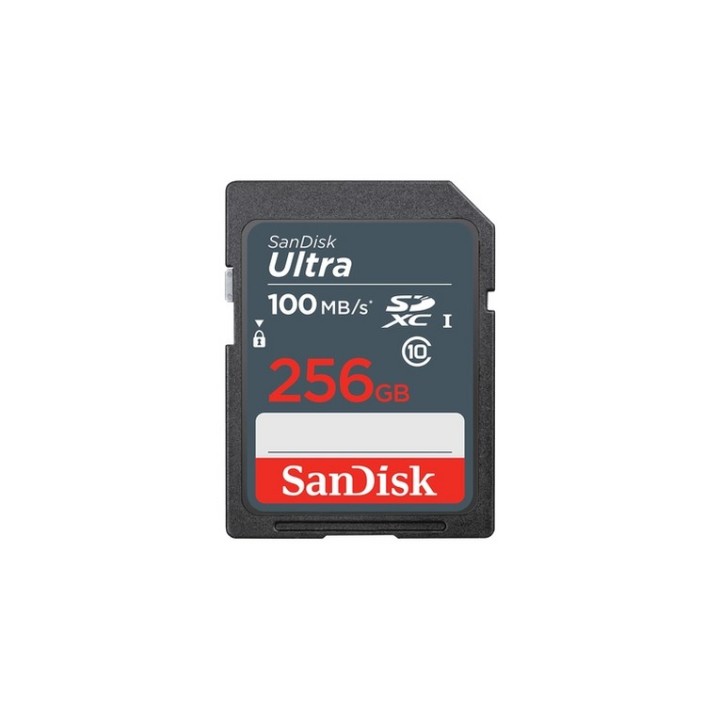 SanDisk Ultra - Scheda di memoria flash - 256 GB - UHS Class 1 / Class10 - UHS-I (SDSDUNR-256G-GN3IN)