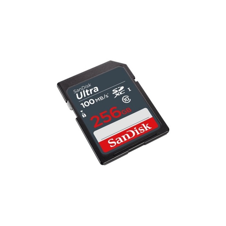 SanDisk Ultra - Scheda di memoria flash - 256 GB - UHS Class 1 / Class10 - UHS-I (SDSDUNR-256G-GN3IN)