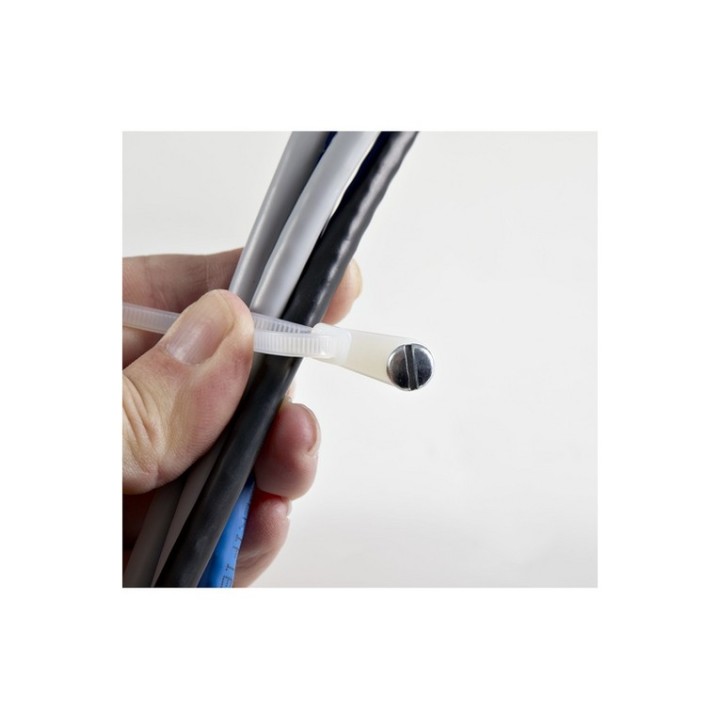 StarTech.com Fascette fermacavo da 10 cm con foro di montaggio /per viti - Fasce (CBMZTS10N4)