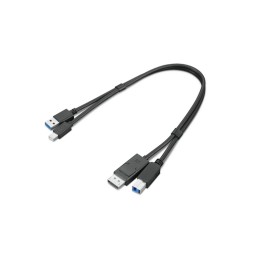 Lenovo Dual Head - Kit cavo display/USB - USB Tipo A, DisplayPort (M) a USB Type