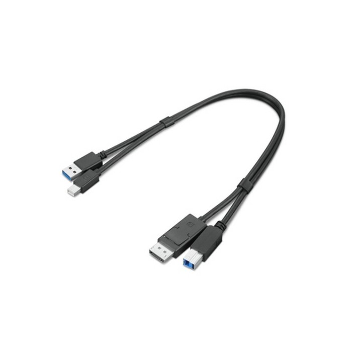 Lenovo Dual Head - Kit cavo display/USB - USB Tipo A, DisplayPort (M) a USB Type