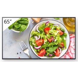 Sony Bravia Professional Displays FW-65BZ35L - 65" Categoria diagonale BZ35L Ser